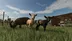 اکانت قانونی Farming Simulator 25 برای PS5